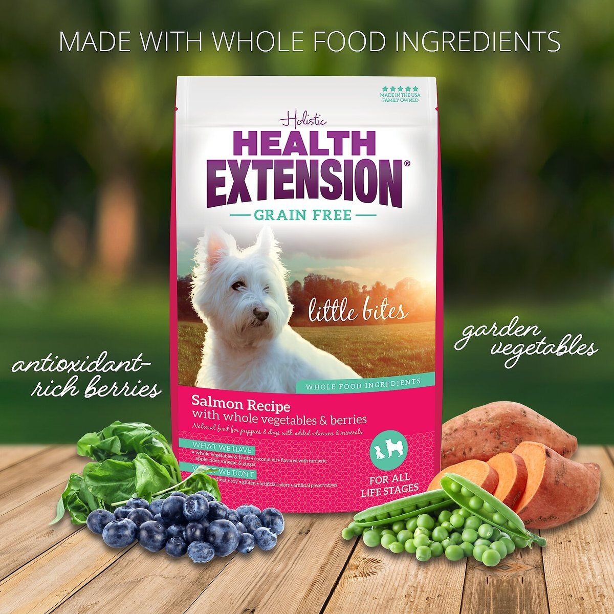 Health Extension Little Bites Grain-Free Salmon Recipe Dry Dog Food