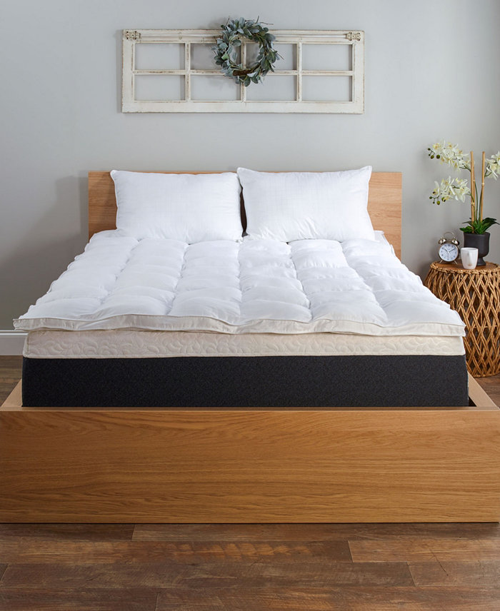 Beyond Down Fiberbed Collection