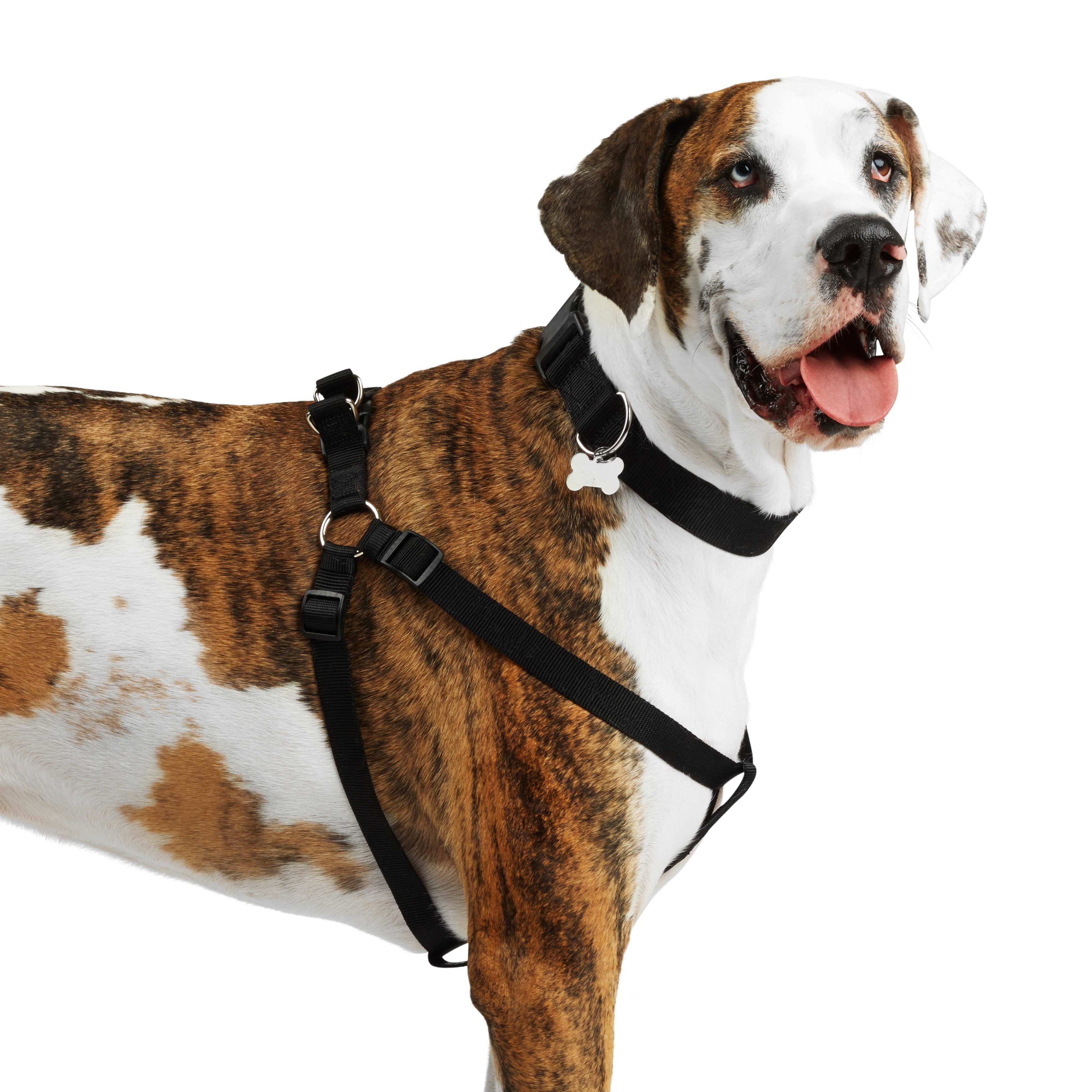 YOULY Black Dog Harness， X-Small