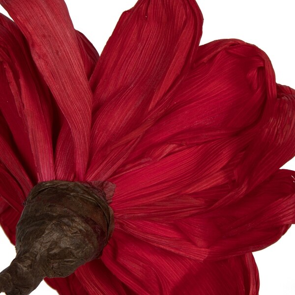 Vickerman Natural Botanicals 6 Red Maize Dahlia. 6 stem/bag. Dried and preserved.