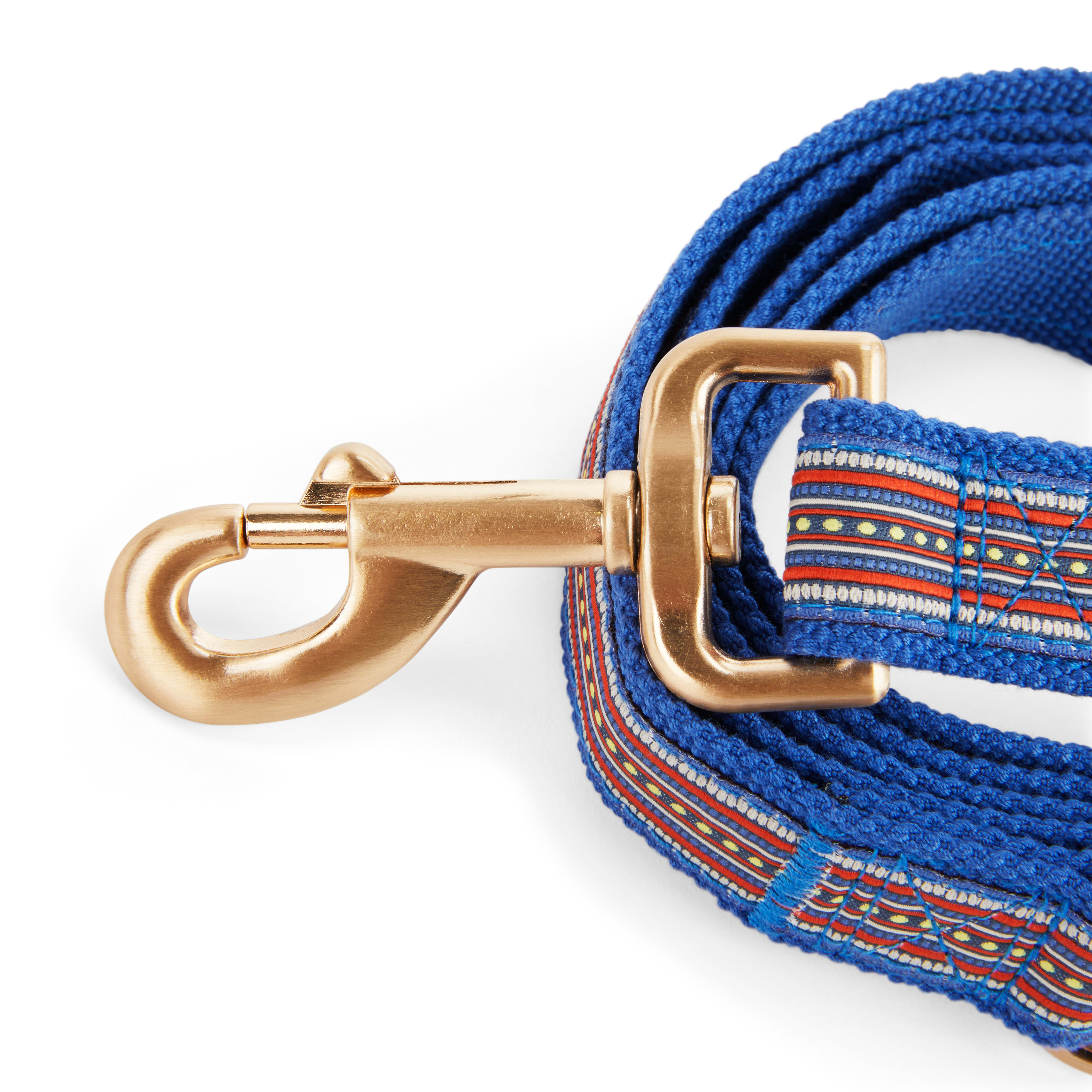 YOULY The Wanderer Blue Stitched Dog Leash， 6 ft.