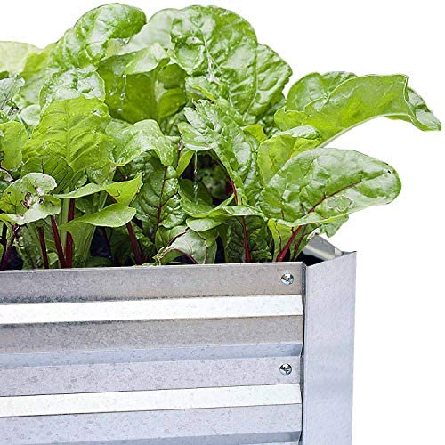 FOYUEE Galvanized Raised Garden Beds for Vegetables Large Metal Planter Box Steel Kit Flower Herb, 8x4x1ft