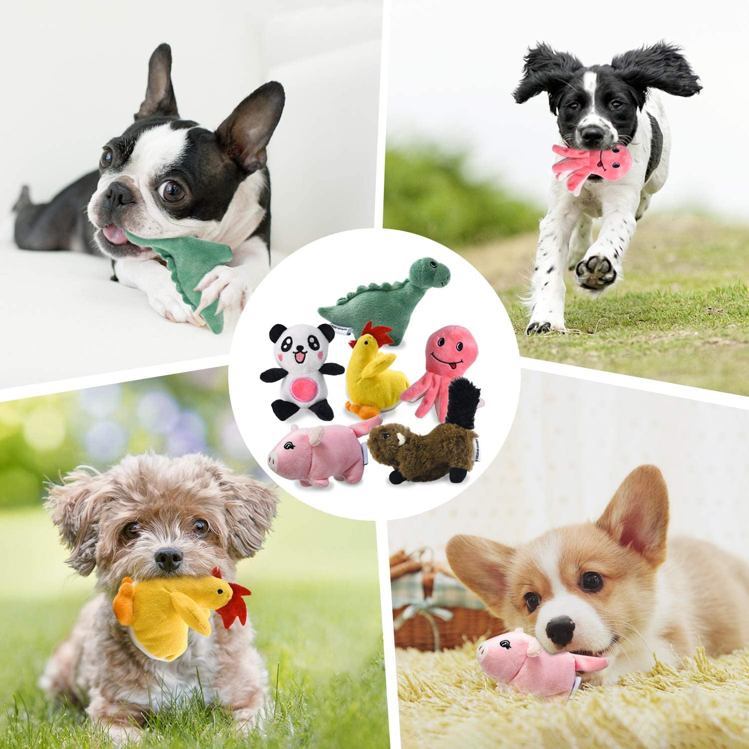 Squeaky Dog Toys for Puppy Small Medium Dogs， Stuffed Samll Dog Toys Bulk with 12 Plush Pet Dog Toy Set， Cute Safe Dog Chew Toys Pack for Puppies Teething (6 Dog Toys)