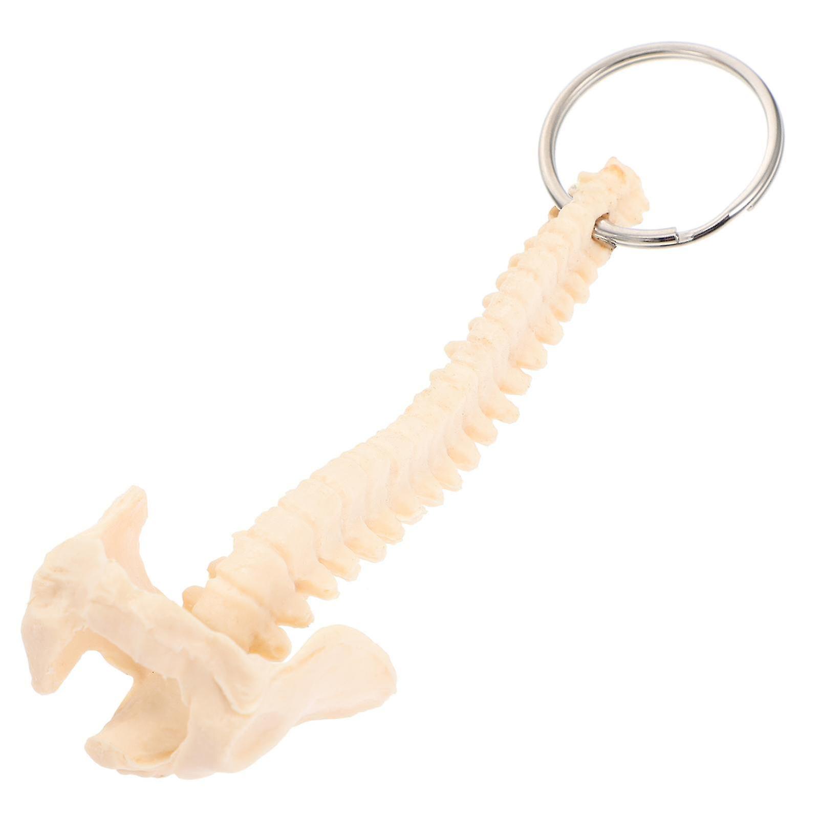 Keychain Spine Human Model Teaching Aid Novelty Toys Key Charms Stem Keyring Pendant Toy Educational Purse Biology Ornaments