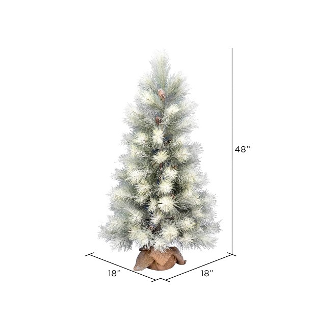 Vickerman Norfolk Frosted Pine Artificial Christmas