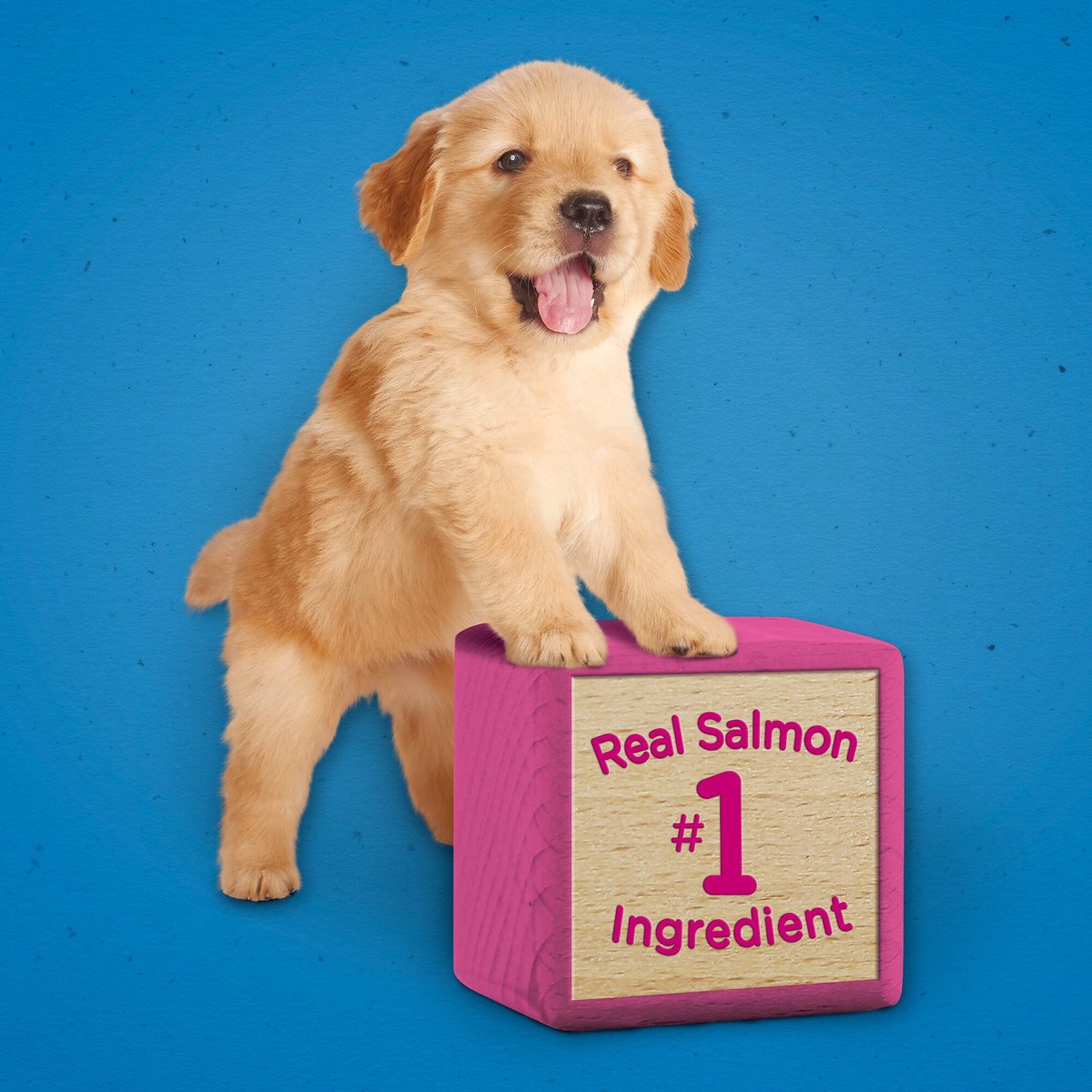 Puppy Chow Healthy Start Salmon Flavor Training Dog Treats