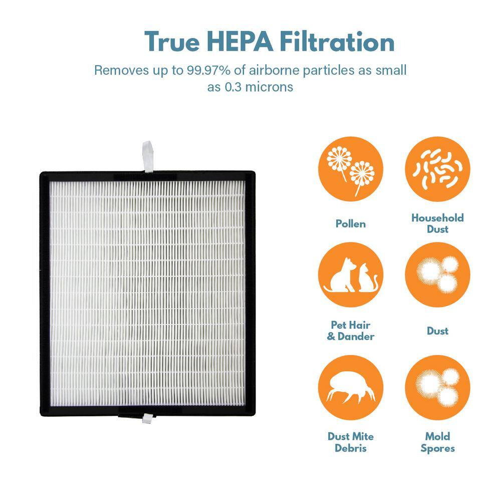 FILTER-MONSTER True HEPA Replacement Compatible with Alen FF50-VOC Air Filter for Allergies Dust and Smoke Chemicals and VOCs AL-FF50VOC-FM1