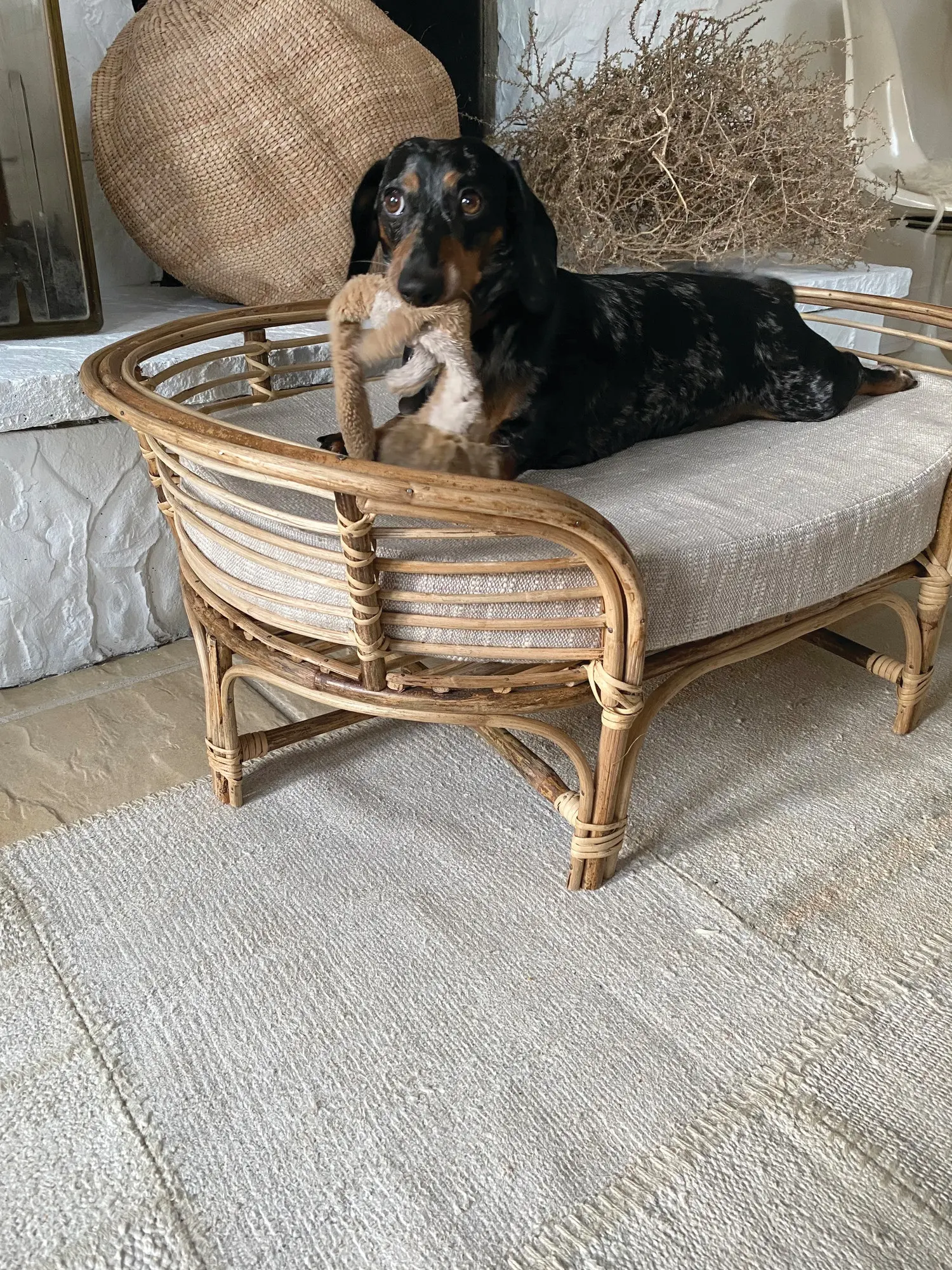 Rattan Natural and Gray Dog Bed With Cushion