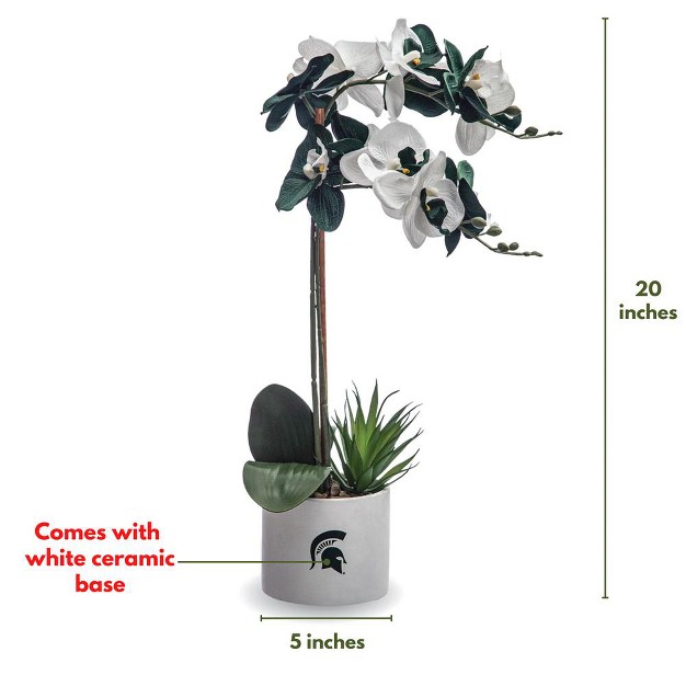 Quicskcart  Michigan State Faux Orchid， Indoor Artificial Plant For Home Decor