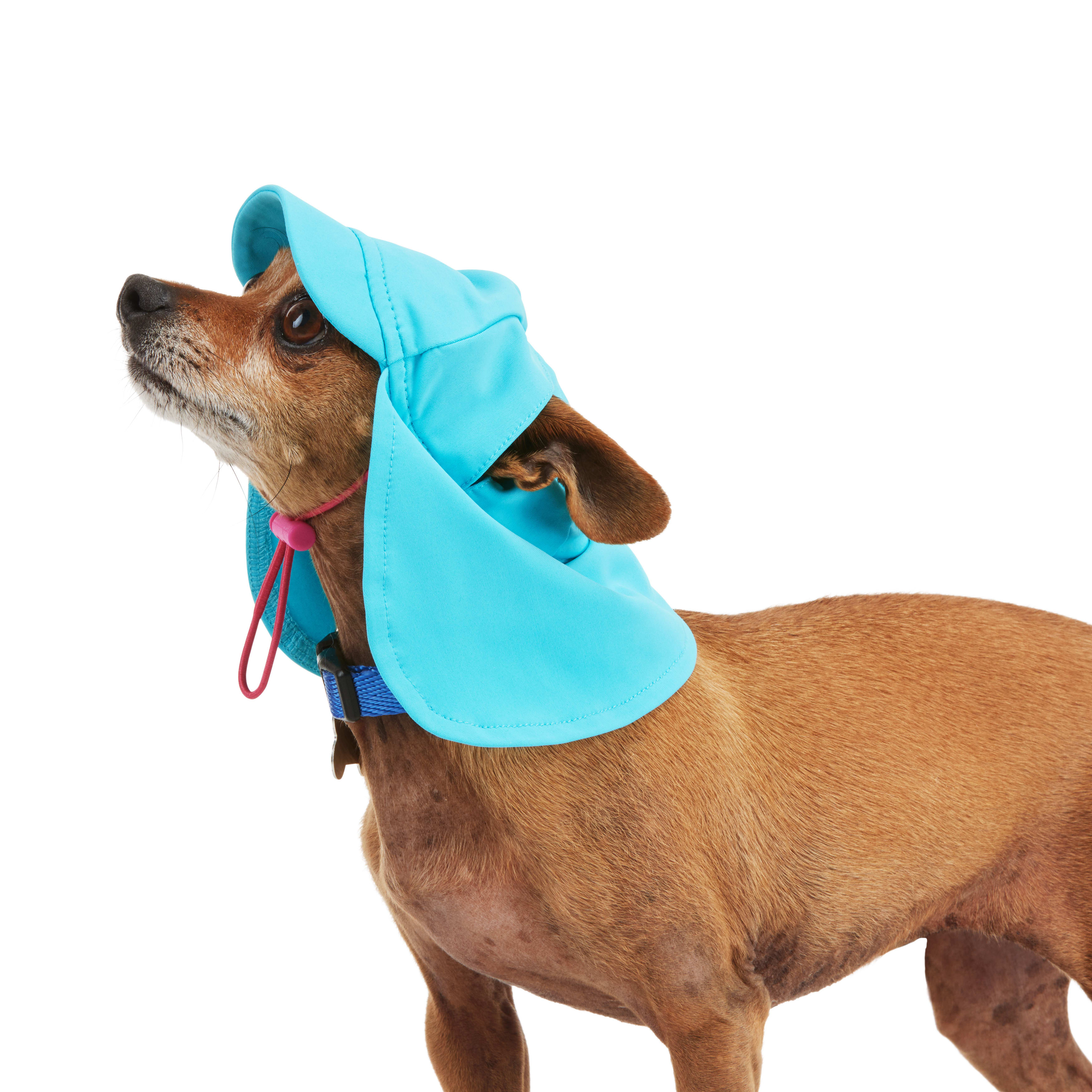 YOULY Blue Cooling Sun Visor for Dogs， X-Small/Small