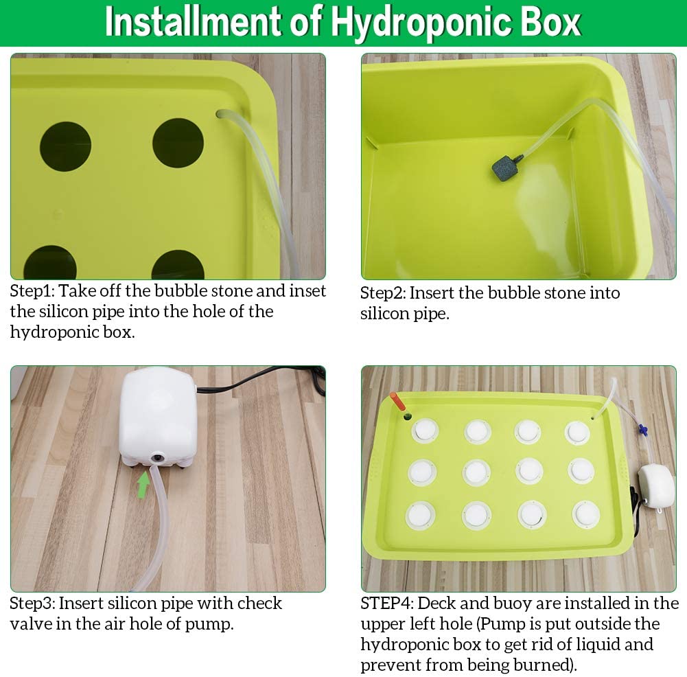 SSAWcasa Hydroponic System Growing Kit，12 Sites Bucket with Air Pump，Bubble Stone and Planting Sponges Household DWC Hydroponic System Growing Kits for Herbs，Lettuce，Vegetabls (Green)