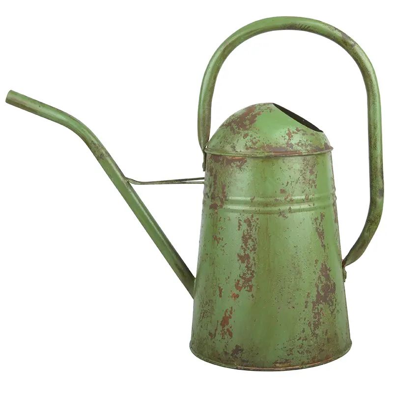 Iron Indoor Home Watering Can With Light Green Color Powder Coated Premium Quality Metal Watering Can Gardening Tool Supplies