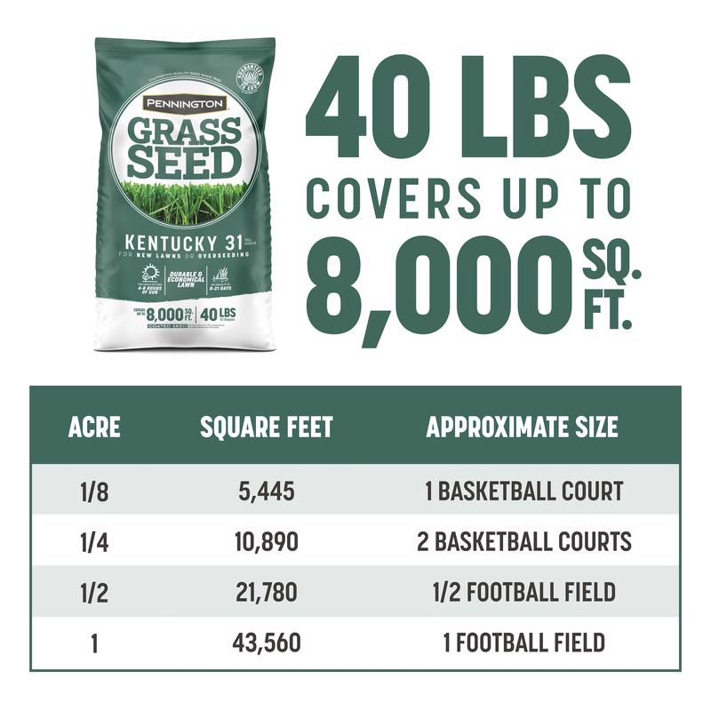 GRASS SEED KY31 TF 40#