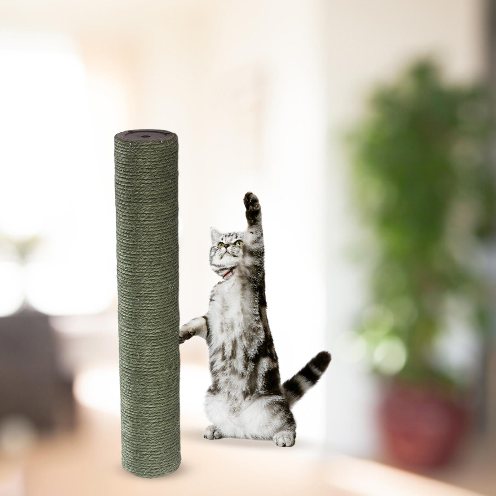 Scratch Post Refill Pole Carpets Protective Extension Post Multi Choices Sofa Furniture Protector Cat scratching posts Playing green 40cmx8cm