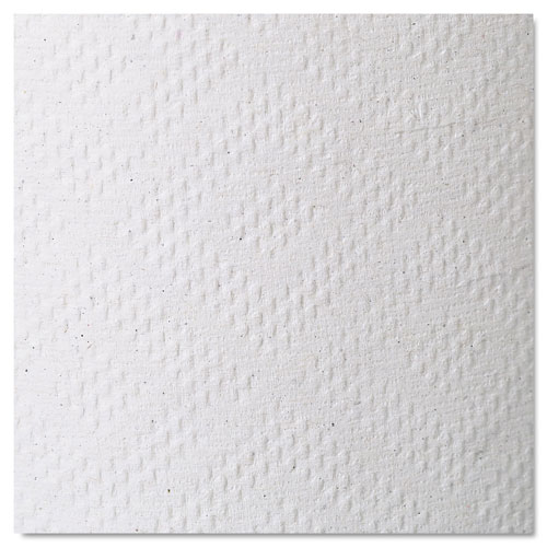 Georgia Pacific Pacific Blue Basic Nonperforated Paper Towels | 7 7