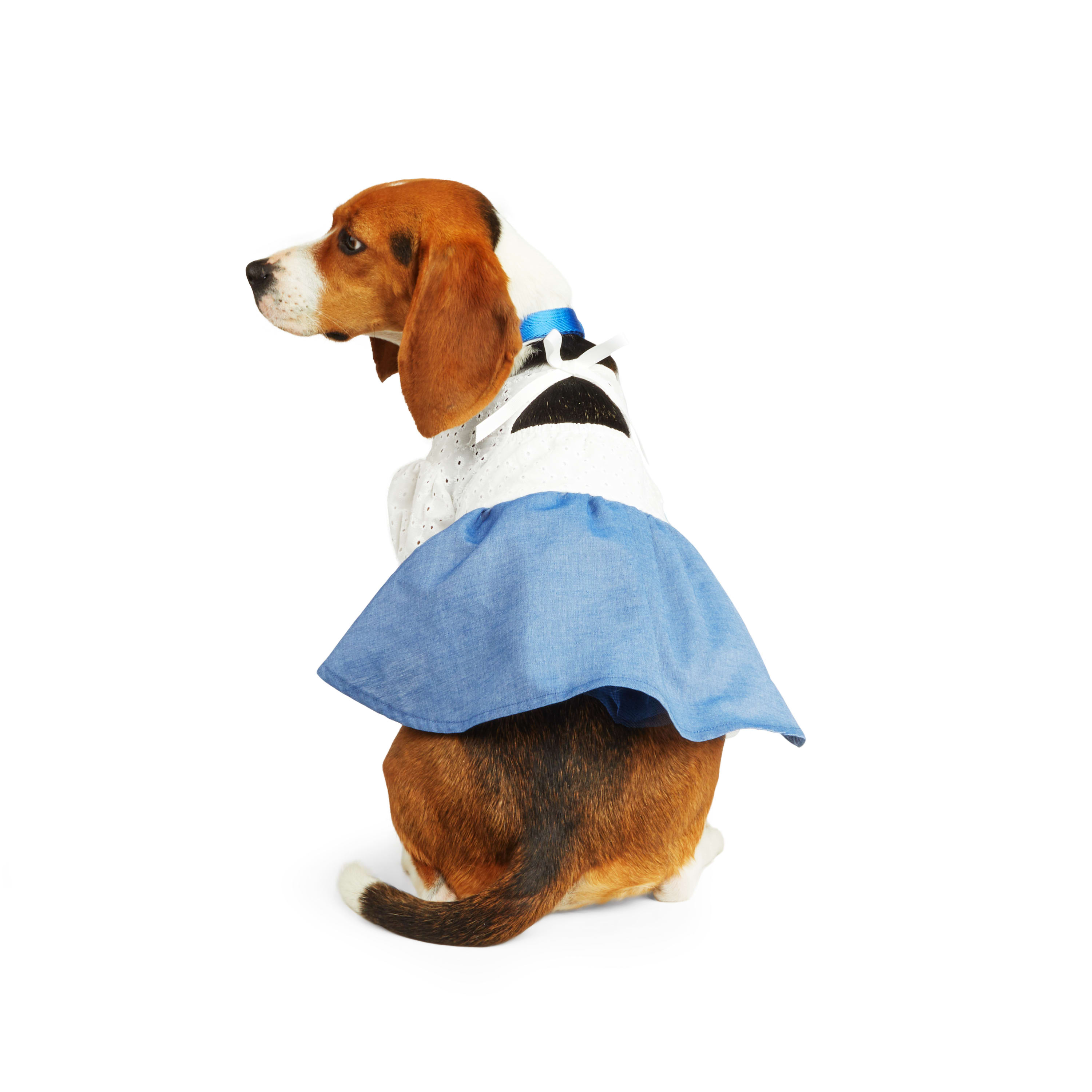 YOULY Chambray T-Shirt Dress for Dogs， XX-Small