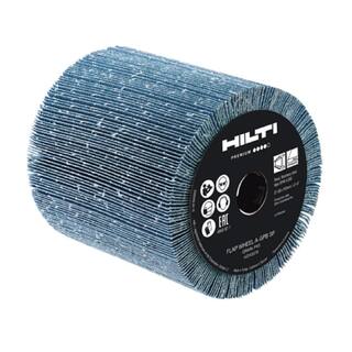 Hilti 4 in. 80-Grit Polishing Flap Wheel (1-Each) 2243378