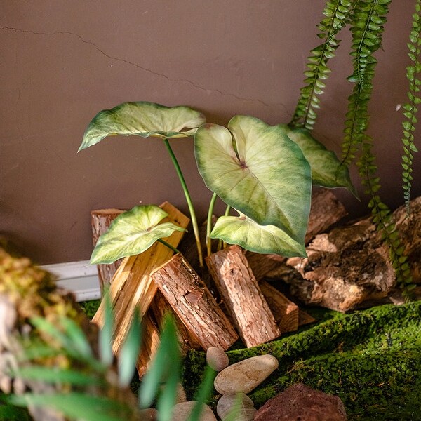 RusticReach Faux Rooted Bunch Alocasia 19 Tall