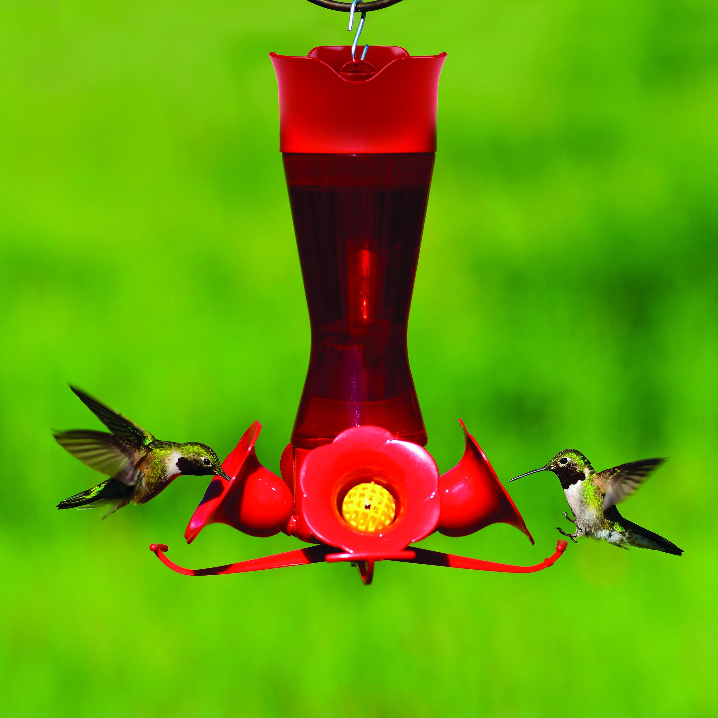 Perky-Pet Red Pinch Waist Plastic Hummingbird Feeder - 8 oz Capacity