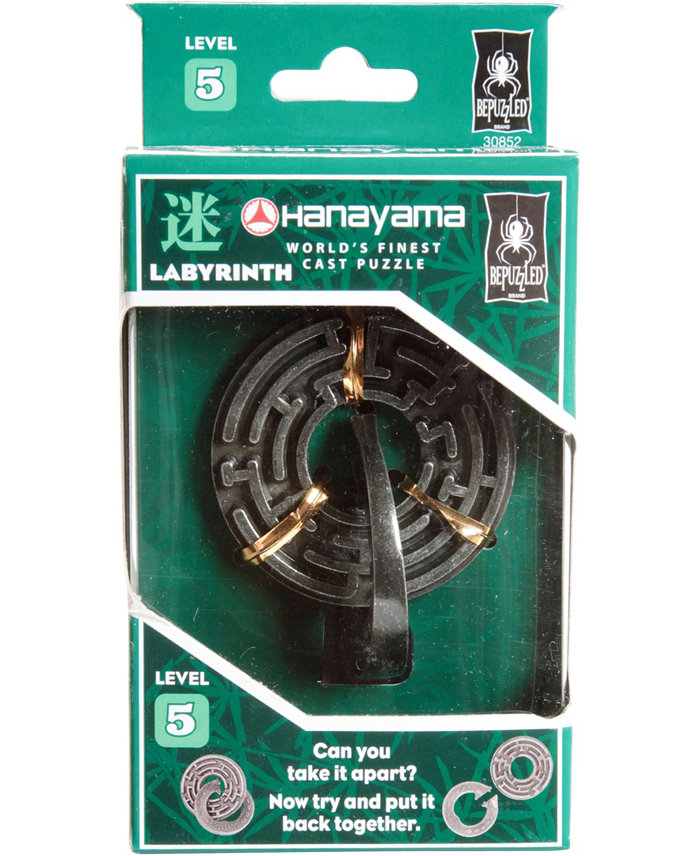 BePuzzled Hanayama Level 5 Cast Puzzle - Labyrinth