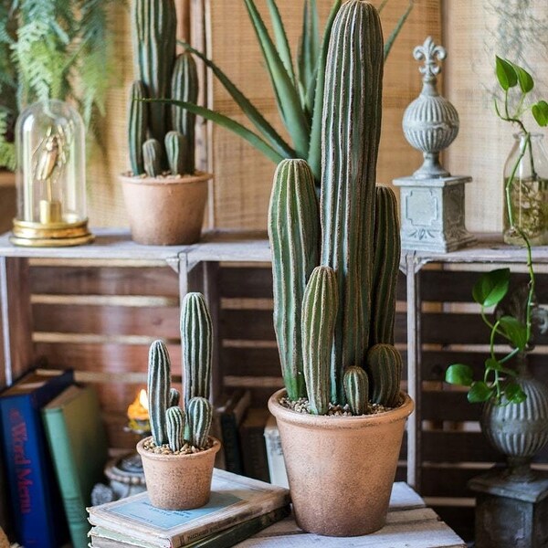 RusticReach Artificial Cactus in Brown Pot