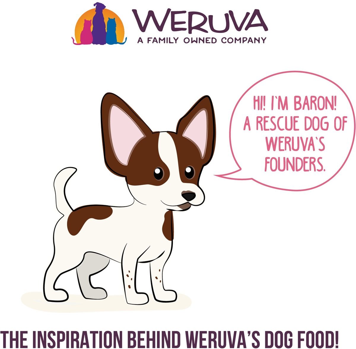 Weruva Amazon Livin' with Chicken and Chicken Liver in Pumpkin Soup Grain-Free Canned Dog Food