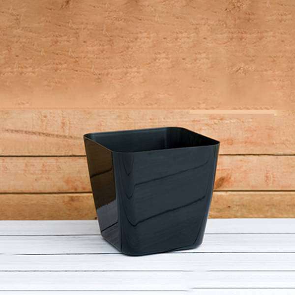 5.5 inch (14 cm) Square Plastic Planter with Rounded Edges (Black) (set of 6)