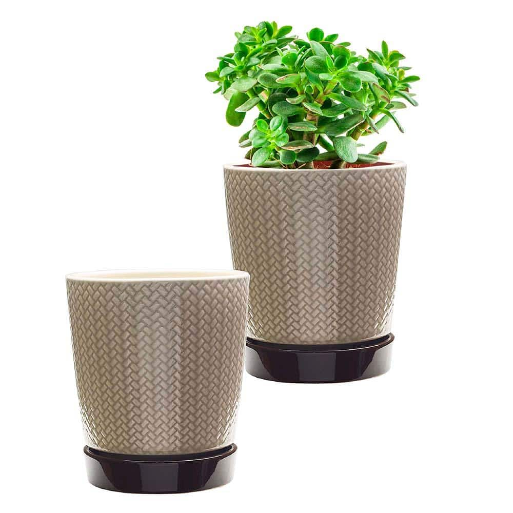 Southern Patio Alice 7.6 in. x 8.7 in. 4 Qt. Light Brown Ceramic Indoor Pot (2-Pack) CRM-064800A