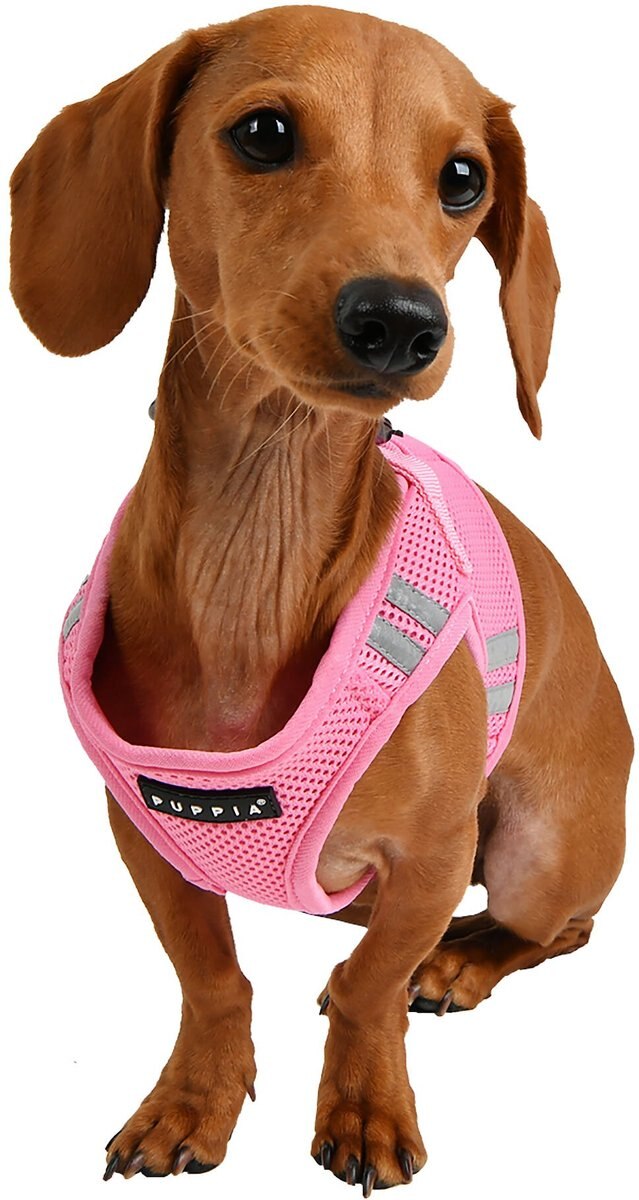 Puppia Soft Vest Pro Dog Harness