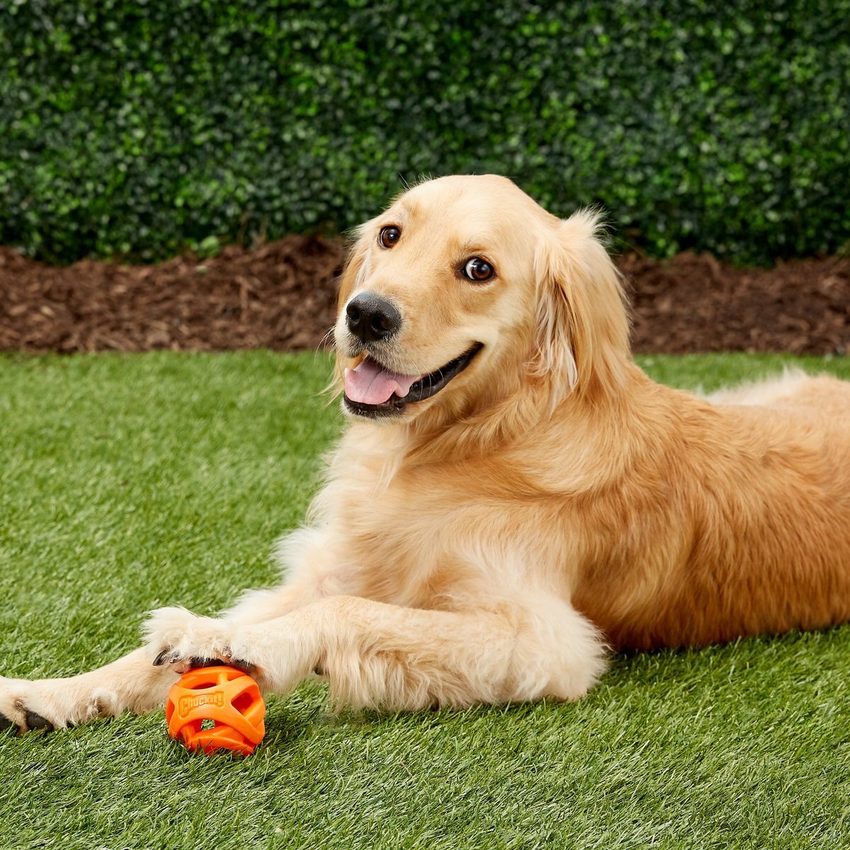 Chuckit! Air Fetch Ball Dog Toy