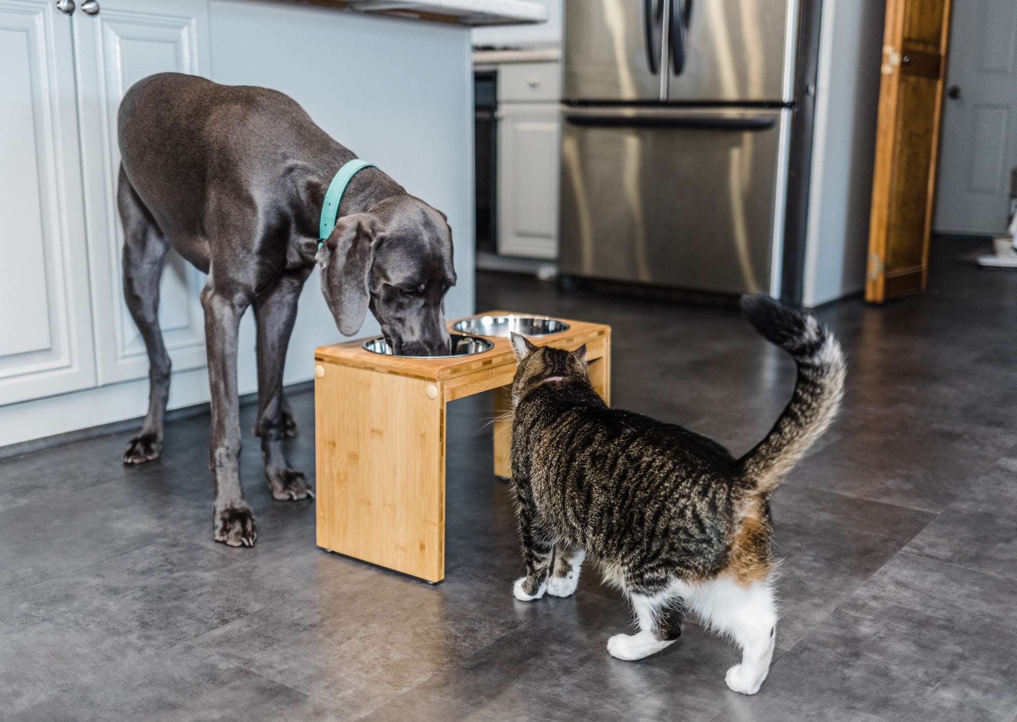 Large 12" Tall Elevated Dog & Pet Feeder- Double Bowl Raised Food & Water Stand- Includes 2 Extra Stainless Steel Bowls, 4 Bowls Total