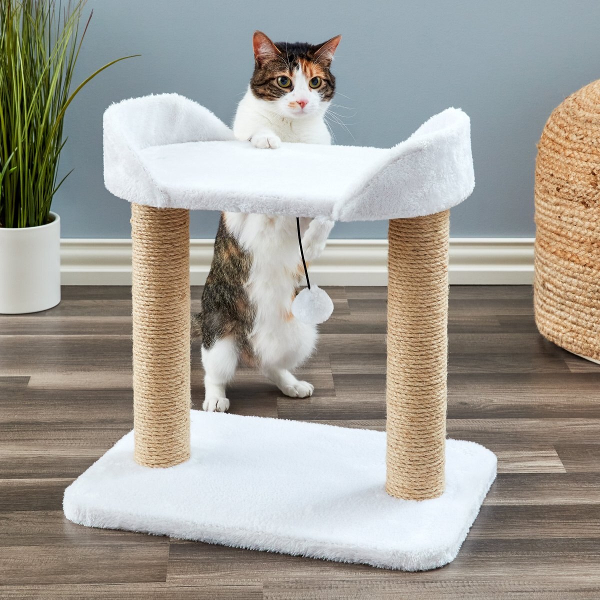 Two By Two The Linden Twin Sisal Cat Tree， Small， Ivory