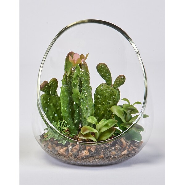 6.5 Faux Cactus in Glass Vase