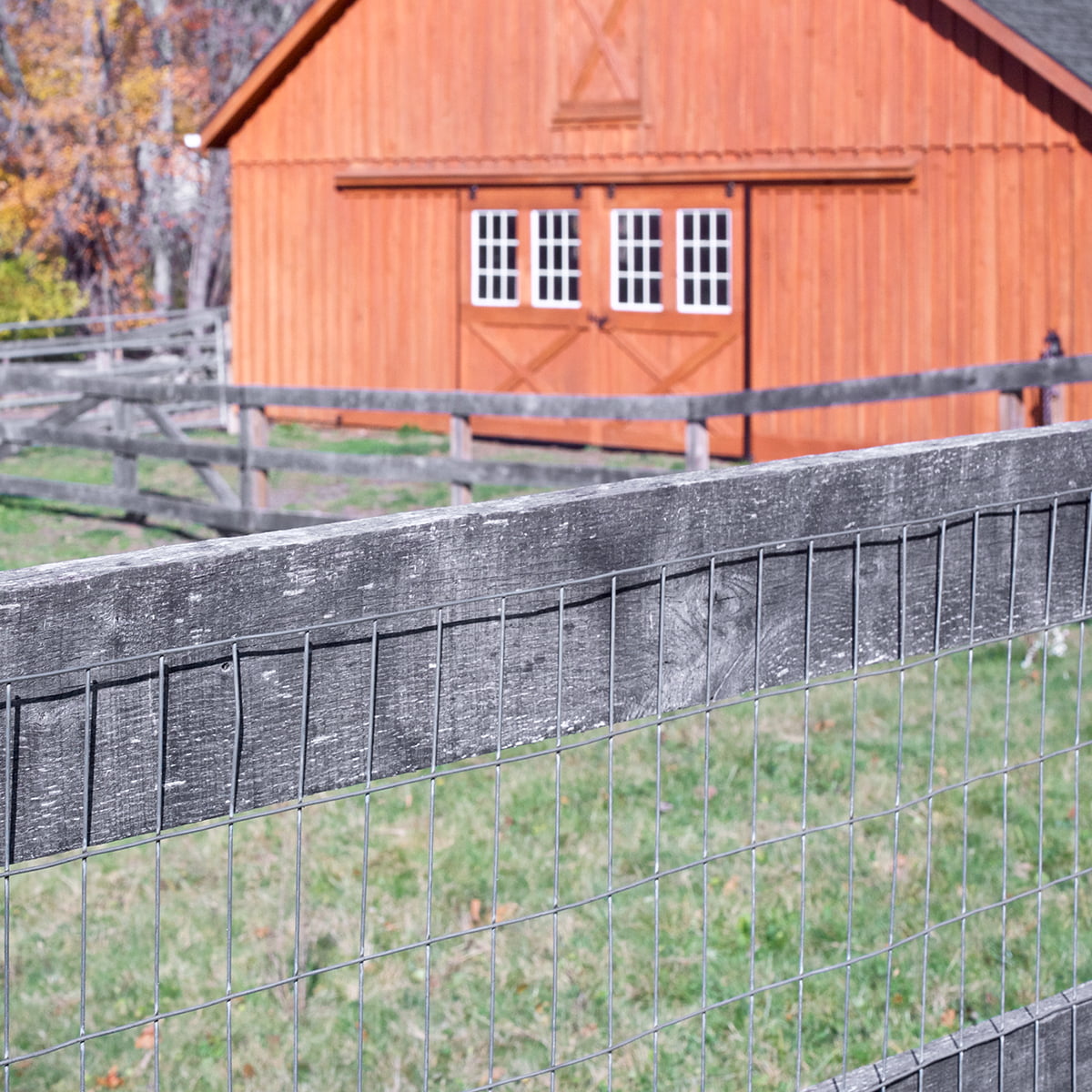 Expert Gardener Galvanized Steel Gray Welded Wire Fence, 36" x 50' Roll