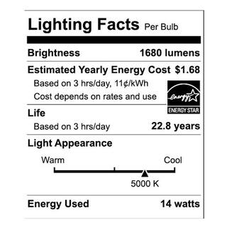 EcoSmart 100-Watt Equivalent A19 Dimmable CEC Frosted Glass Filament LED Light Bulb in Daylight (2-Pack) 11FFA19100WT203