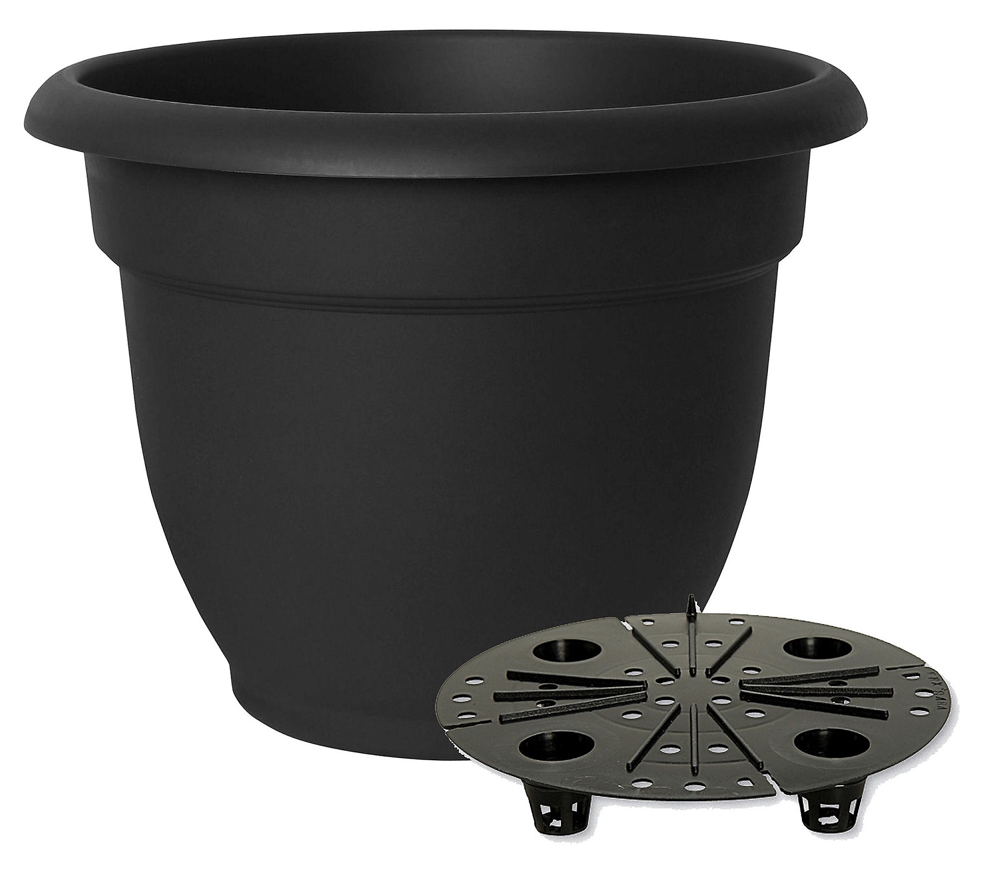 Bloem Ariana Self Watering Planter: 16