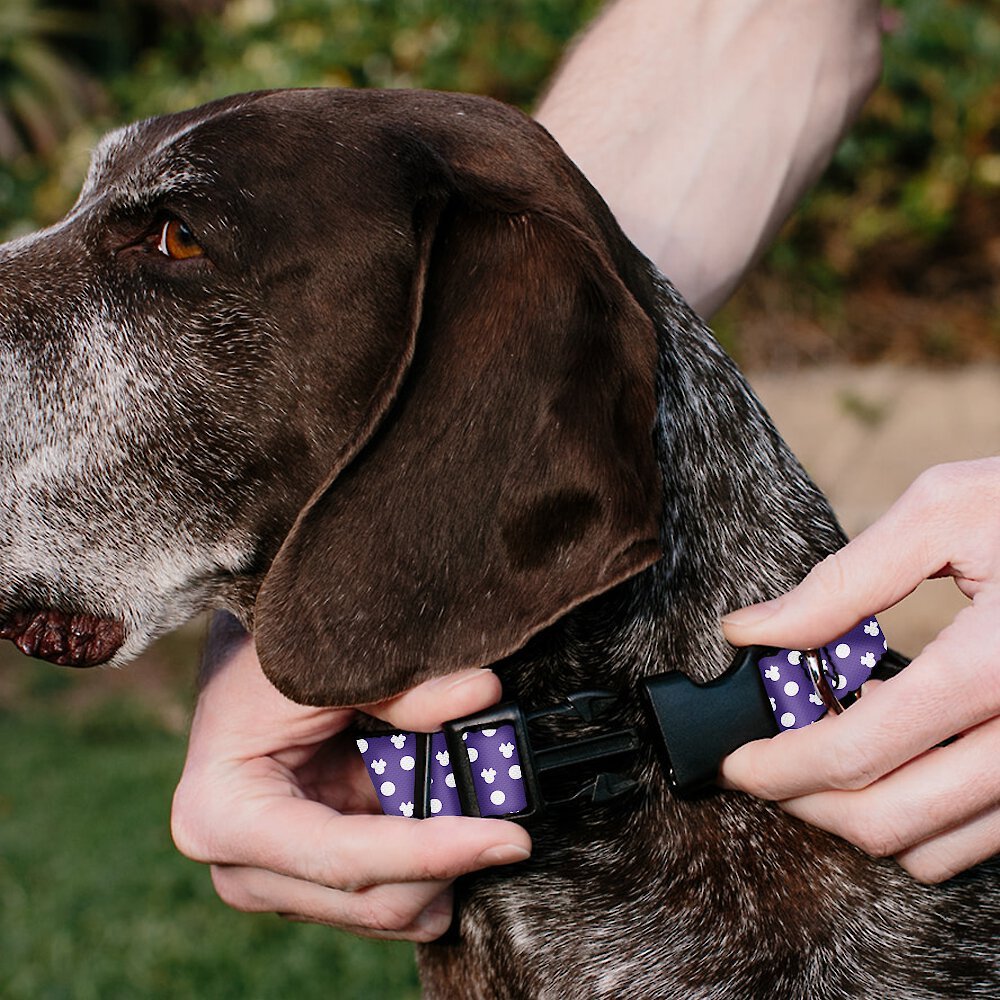 Buckle-Down Disney Minnie Mouse Ears Personalized Dog Collar