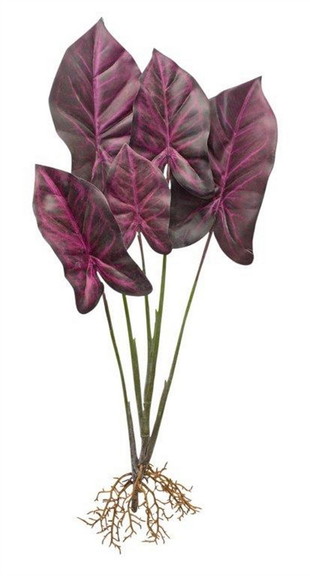 Melrose 82595DS Caladium Plant (Set of 2) 22.25H ...