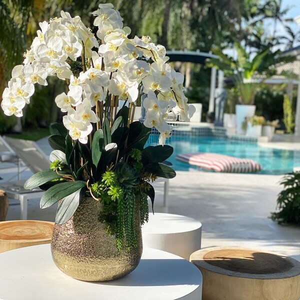 Delany Gold Pot With Multiple Stems Of Phalaenopsis Orchids And Succulents