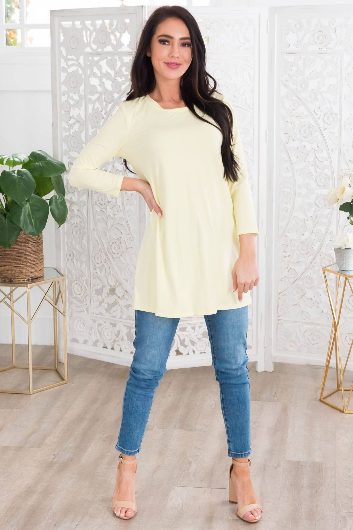 Simply Basic Modest Top