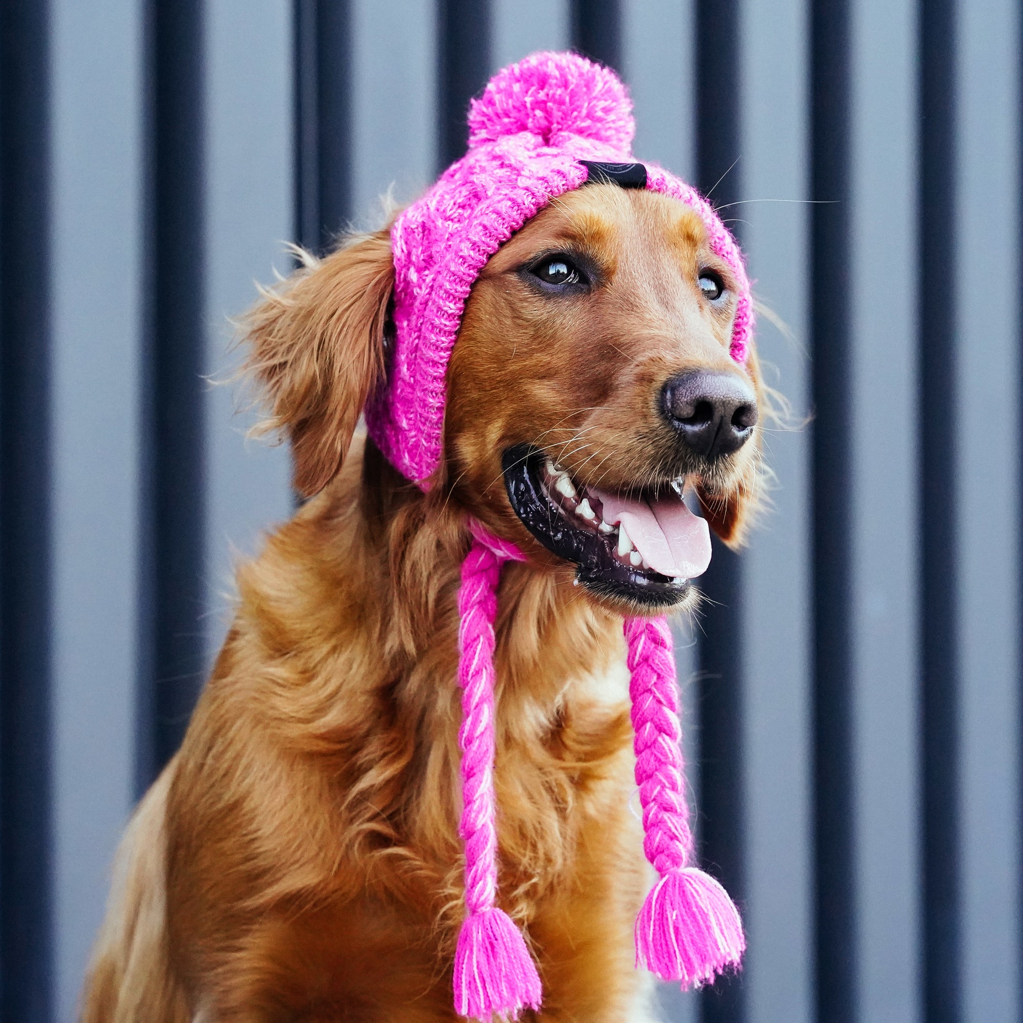 Canada Pooch Pink Polar Pom Pom Dog Hat， Small