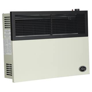 Ashley Hearth Products 17000 BTU Direct Vent Natural Gas Heater DVAG17N