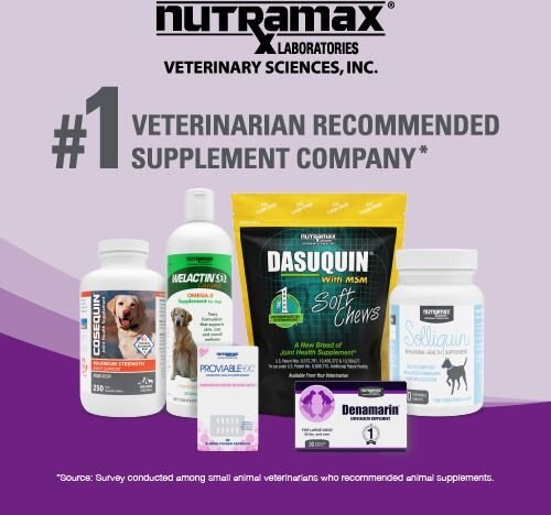 Nutramax Dasuquin Hip and Joint Soft Chews Joint Health Supplement for Cats， 84 count