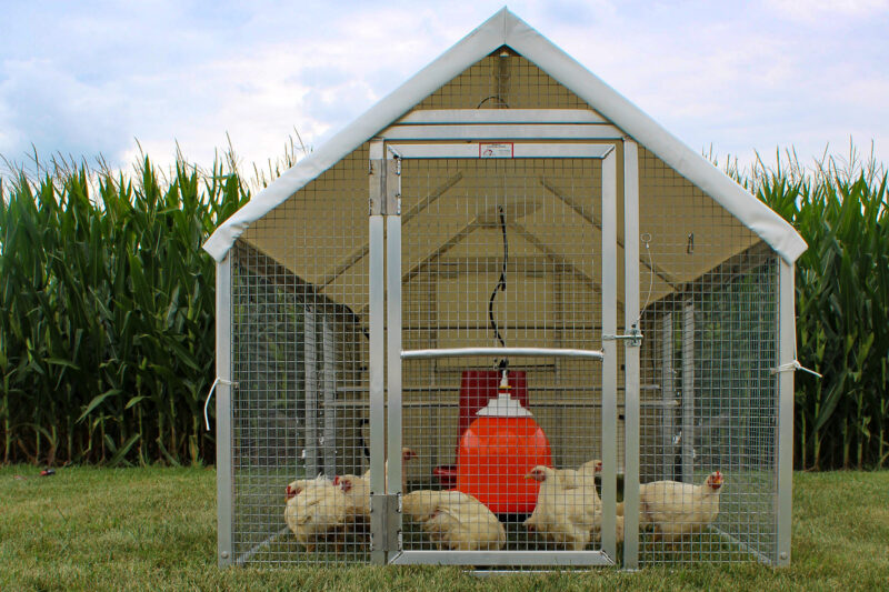 🎉Only $39🎉 Stainless Steel Feeding Cage🐔🦆