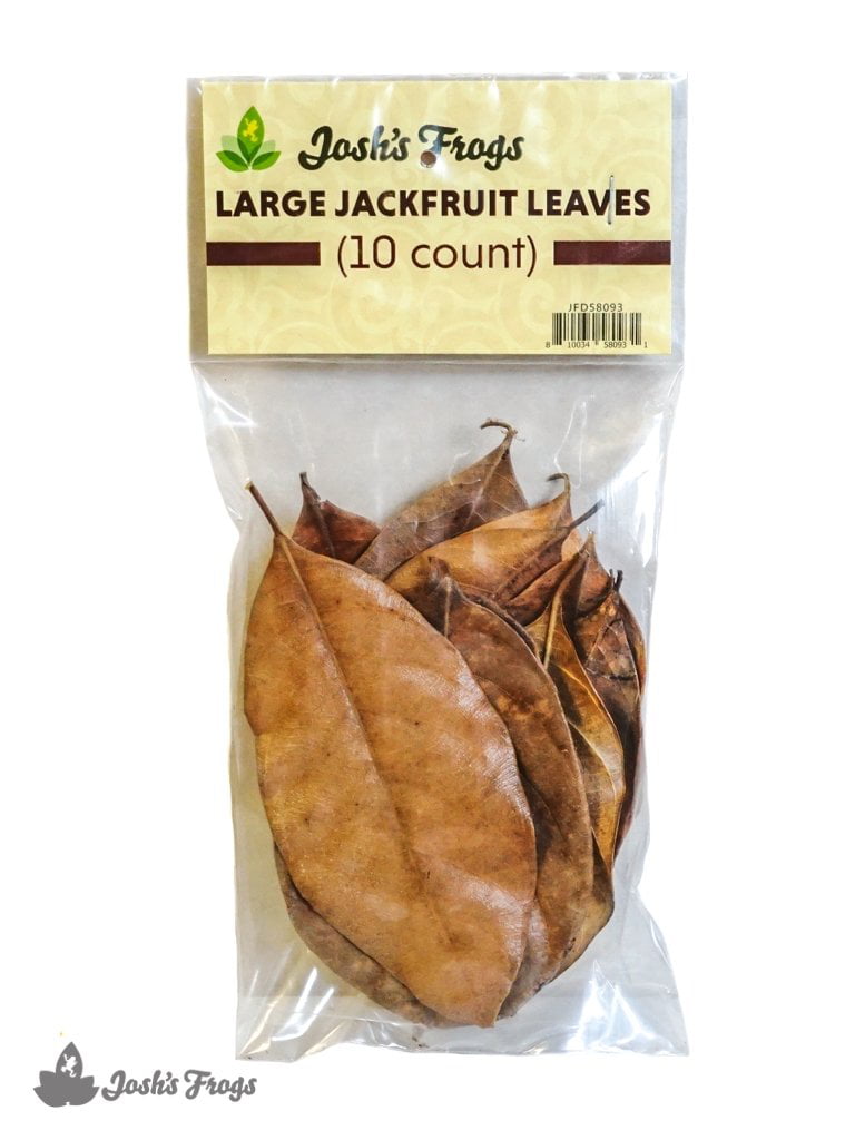 Josh's Frogs Large Jackfruit Leaves Leaf Litter (10 count)