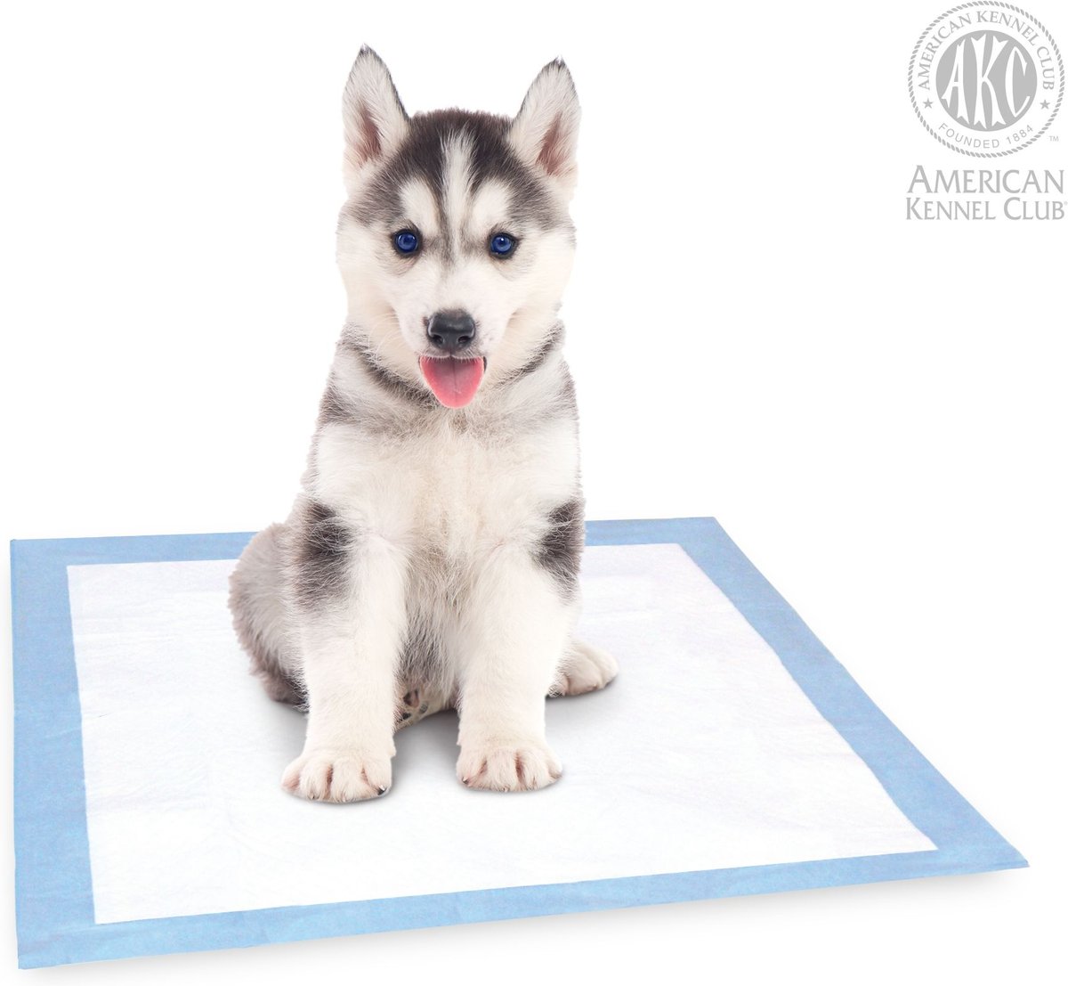 American Kennel Club AKC Dog Training Pads， 22 x 22-in， Fresh Scented