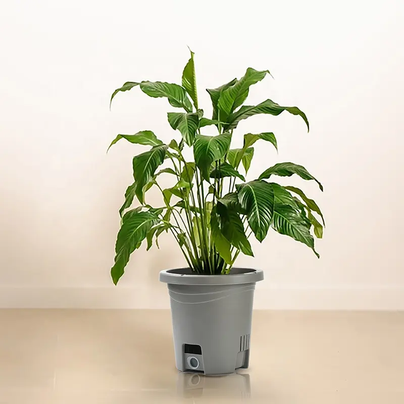 new popular garden supply vertical auto watering system nursery pot latest flower plastic pots