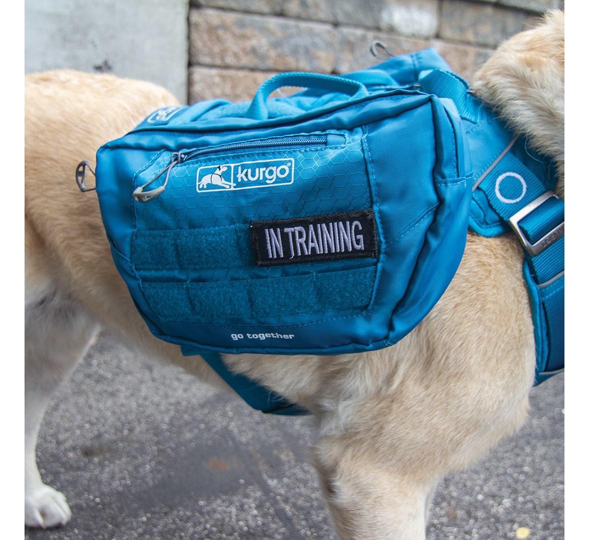 Kurgo RSG Dog Pack Pannier