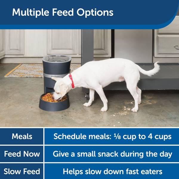 Smart Feed Automatic Dog and Cat Feeder