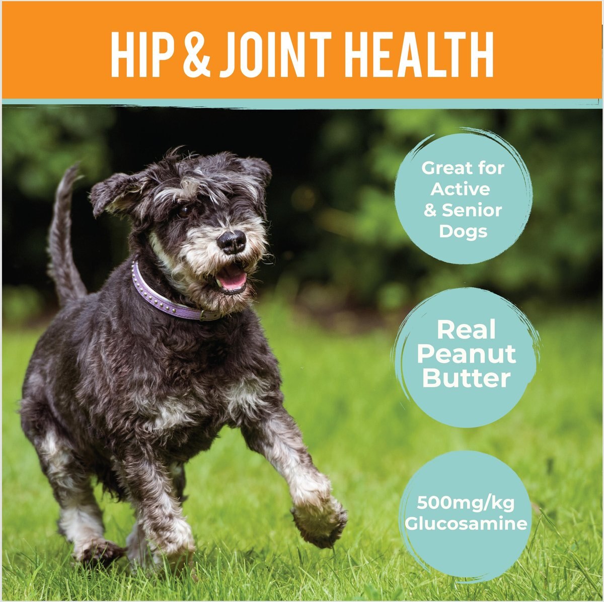 Howl's Kitchen Hip and Joint Peanut Butter Flavor Biscuits Dog Treats